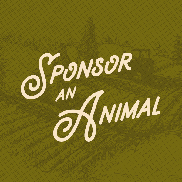 Sponsor an Animal - Fulcrum Farm