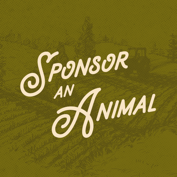 Sponsor an Animal - Fulcrum Farm Sponsor an Animal - Fulcrum Farm